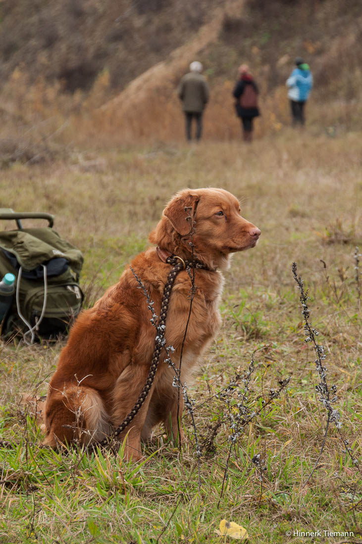 20121111_htt-wunstorf_dsc4395