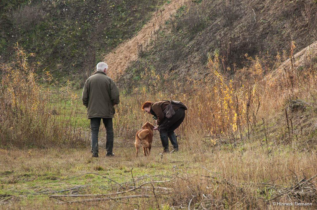 20121111_htt-wunstorf_dsc4414