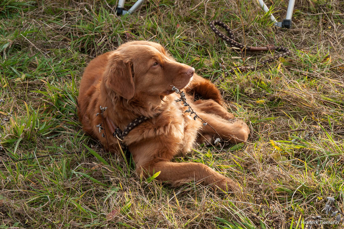 20121111_htt-wunstorf_dsc4419