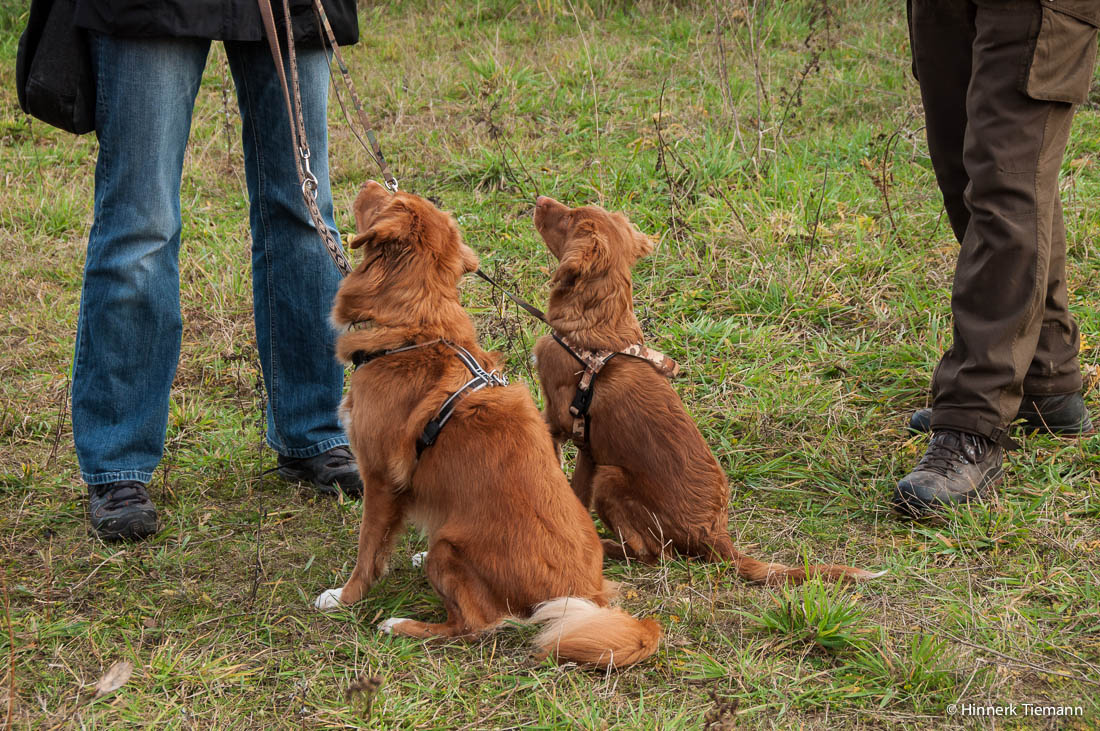 20121111_htt-wunstorf_dsc4428