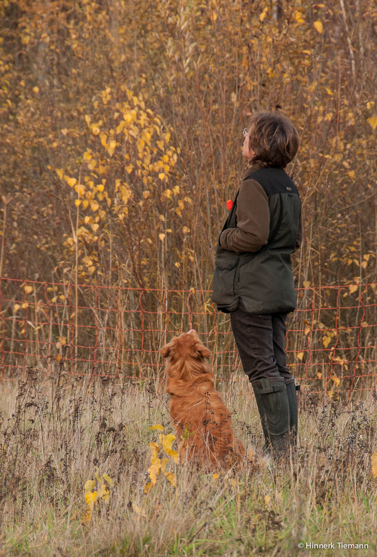 20121111_htt-wunstorf_dsc4431