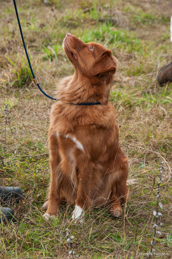 20121111_htt-wunstorf_dsc4433