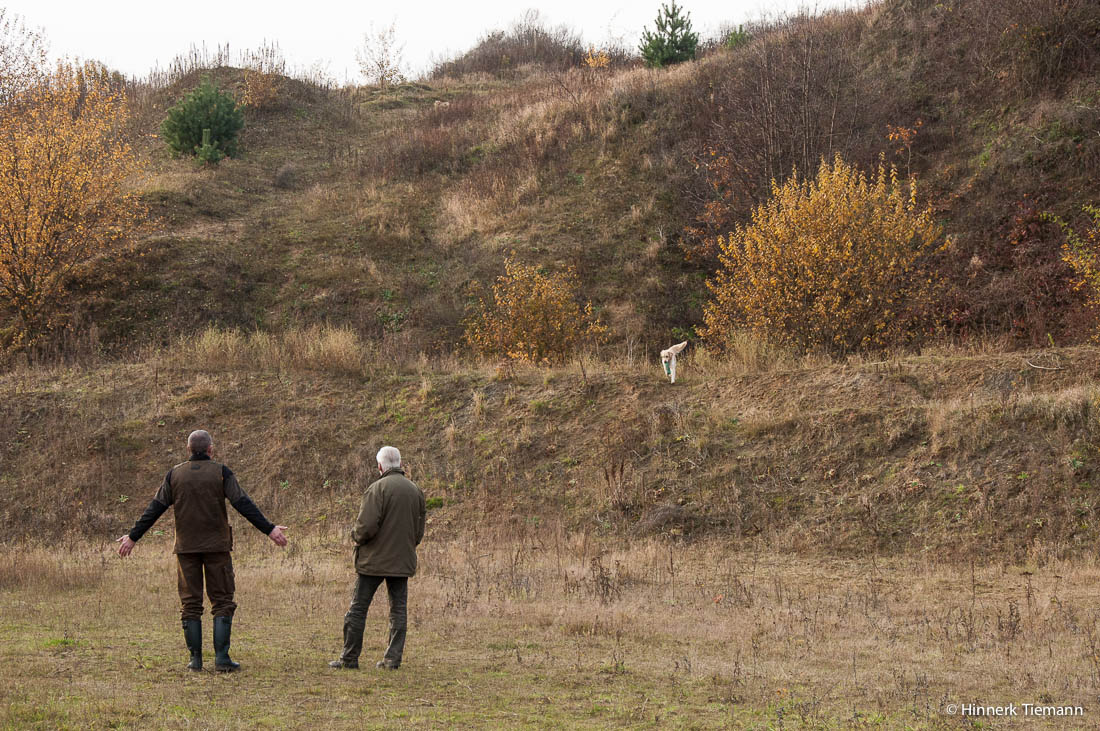 20121111_htt-wunstorf_dsc4440