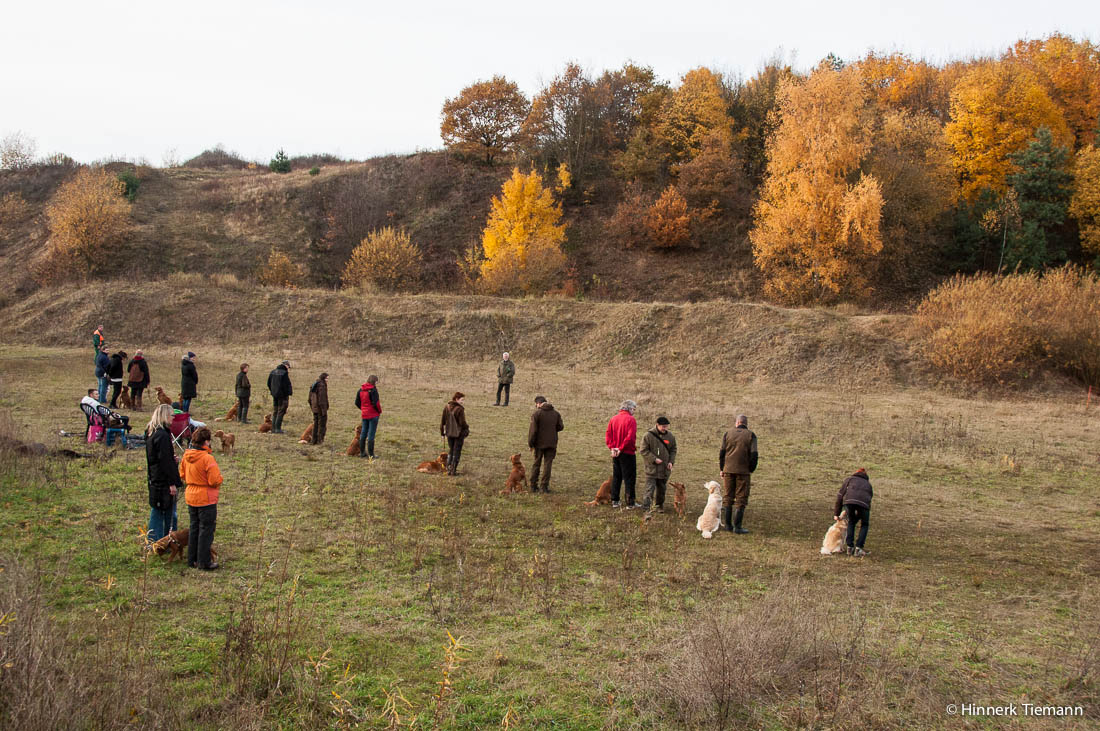 20121111_htt-wunstorf_dsc4446