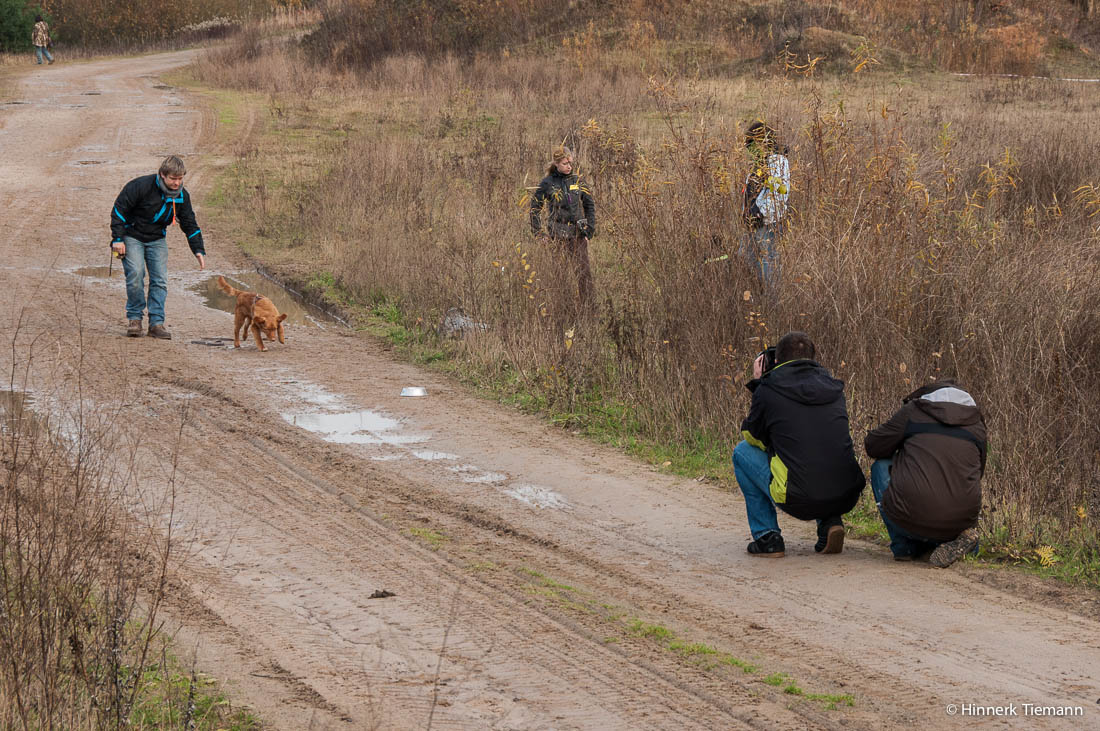 20121111_htt-wunstorf_dsc4449