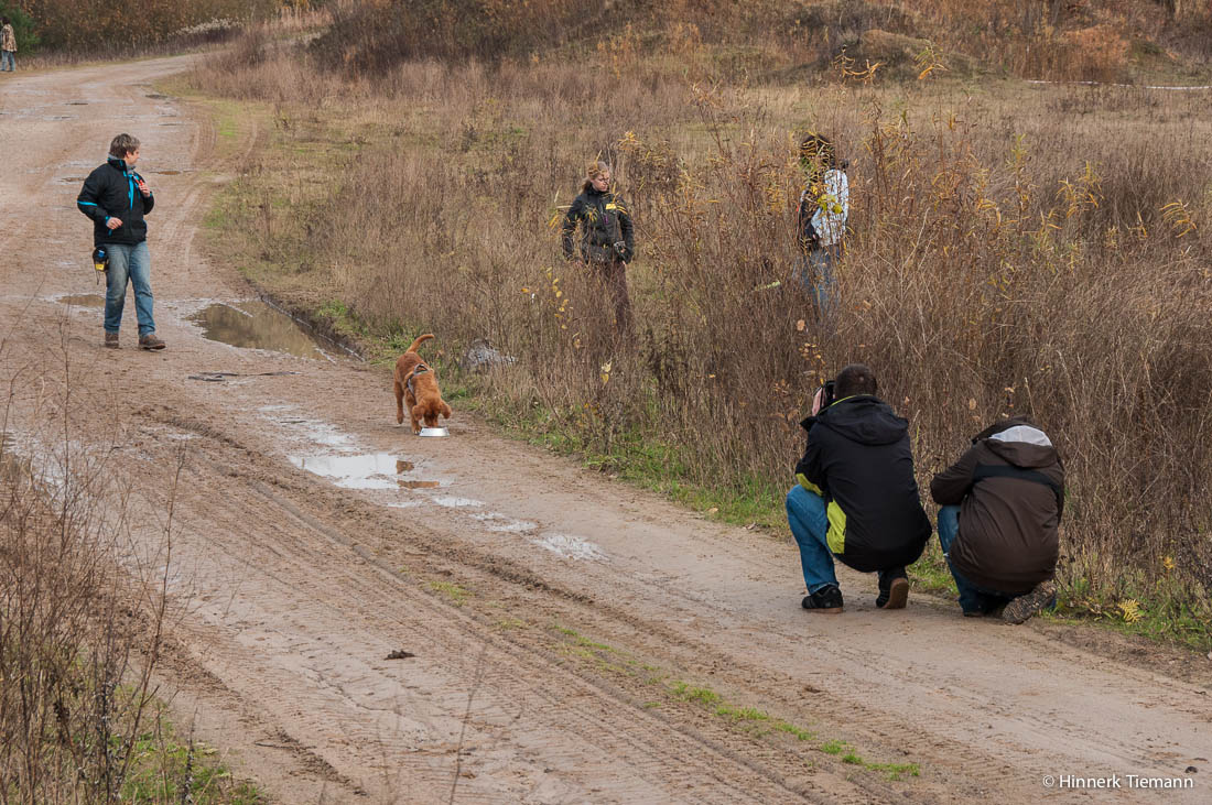 20121111_htt-wunstorf_dsc4450