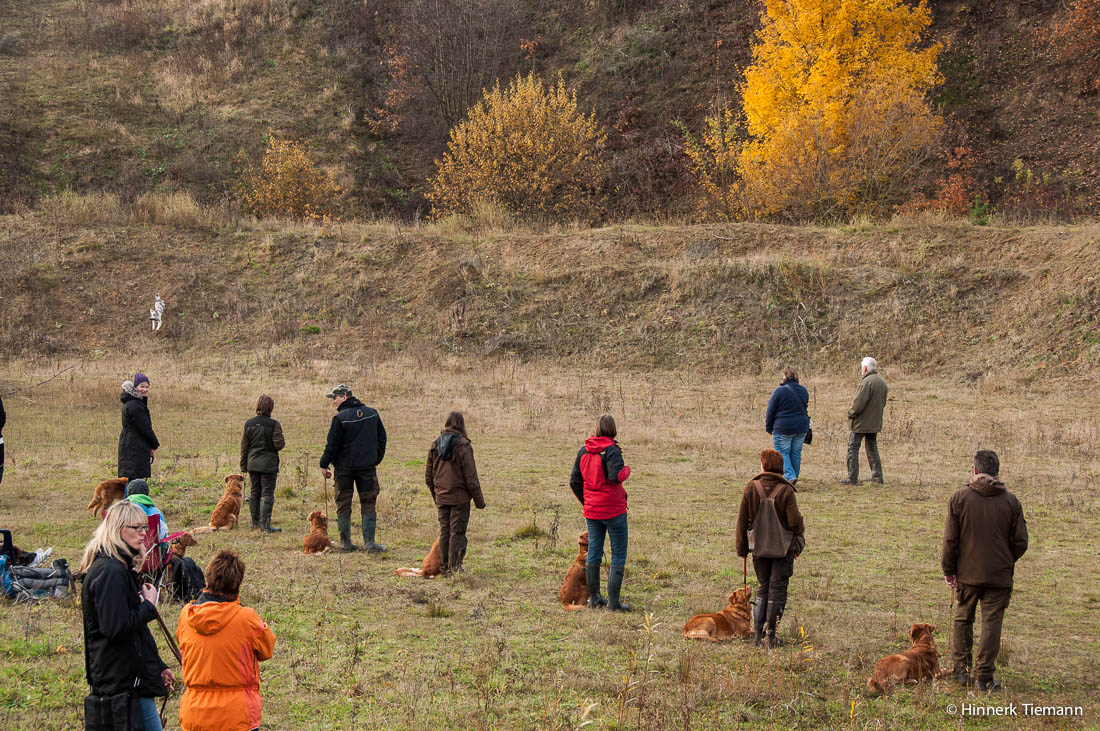 20121111_htt-wunstorf_dsc4461