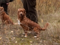 20121111_htt-wunstorf_dsc4298
