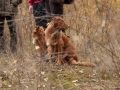 20121111_htt-wunstorf_dsc4311