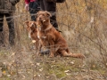 20121111_htt-wunstorf_dsc4312