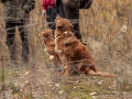 20121111_htt-wunstorf_dsc4313