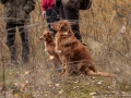 20121111_htt-wunstorf_dsc4314