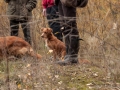 20121111_htt-wunstorf_dsc4315