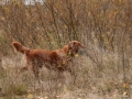 20121111_htt-wunstorf_dsc4317