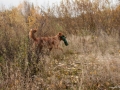 20121111_htt-wunstorf_dsc4323