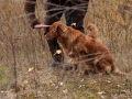 20121111_htt-wunstorf_dsc4330