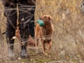 20121111_htt-wunstorf_dsc4333
