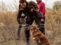 20121111_htt-wunstorf_dsc4338