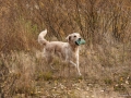 20121111_htt-wunstorf_dsc4343