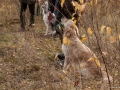 20121111_htt-wunstorf_dsc4350