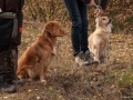 20121111_htt-wunstorf_dsc4353