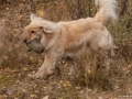 20121111_htt-wunstorf_dsc4357