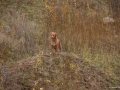 20121111_htt-wunstorf_dsc4369