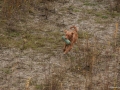 20121111_htt-wunstorf_dsc4372