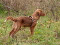 20121111_htt-wunstorf_dsc4376