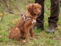 20121111_htt-wunstorf_dsc4379