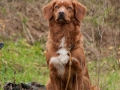 20121111_htt-wunstorf_dsc4382