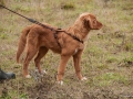 20121111_htt-wunstorf_dsc4386
