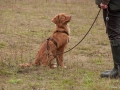 20121111_htt-wunstorf_dsc4387