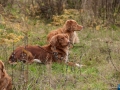 20121111_htt-wunstorf_dsc4391