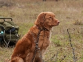 20121111_htt-wunstorf_dsc4395