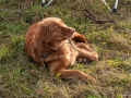 20121111_htt-wunstorf_dsc4419