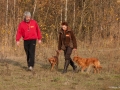 20121111_htt-wunstorf_dsc4422