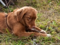 20121111_htt-wunstorf_dsc4423