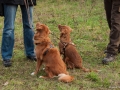 20121111_htt-wunstorf_dsc4428