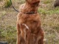 20121111_htt-wunstorf_dsc4433