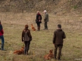 20121111_htt-wunstorf_dsc4465