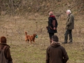 20121111_htt-wunstorf_dsc4469