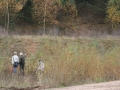 k-img_4713