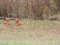 k-img_4742