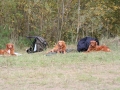 k-img_4748