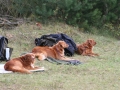 k-img_4766