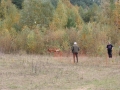 k-img_4782