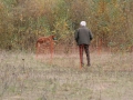 k-img_4783