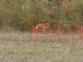 k-img_4808