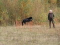 k-img_4828